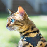 Tydrian Cat Harness and Leash Set, Escape Proof Adjustable Soft Pet Vest Harness for Walking, Breathable No Pull Kitten Harness for Small Medium Cats, Black
